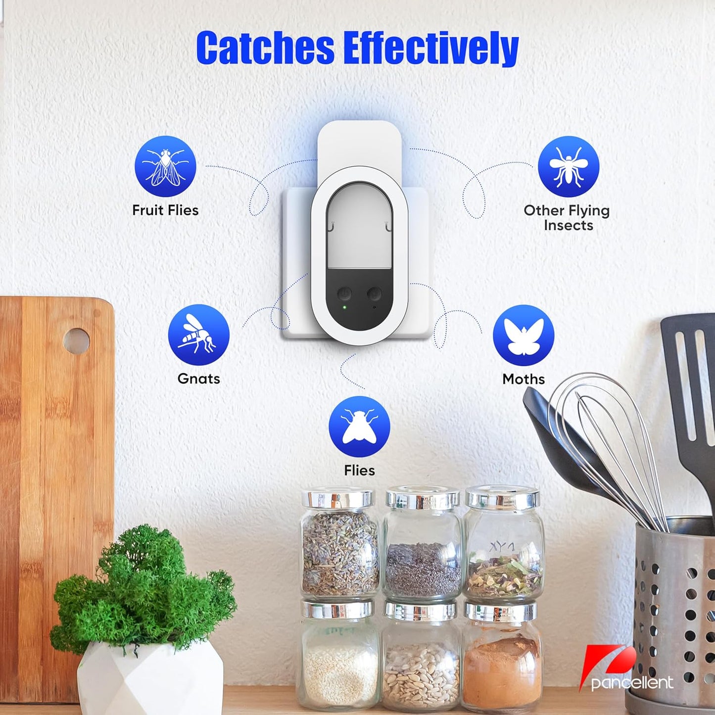 Indoor Bug Trap & Night Light Combo